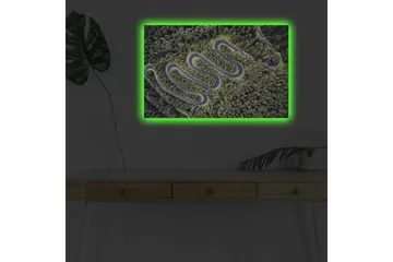 Lerretsbilde med LED-belysning - Vakker utsikt over en svingete vei gjennom tett, frodig skog - Grønn / Grå / Svart - Interiør - Maleri & posters - Lerretsbilder