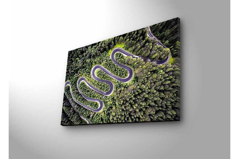 Lerretsbilde med LED-belysning - Vakker utsikt over en svingete vei gjennom tett, frodig skog - Grønn / Grå / Svart - Interiør - Maleri & posters - Lerretsbilder