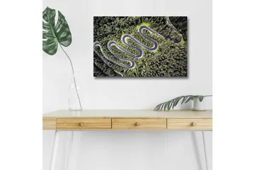 Lerretsbilde med LED-belysning - Vakker utsikt over en svingete vei gjennom tett, frodig skog - Grønn / Grå / Svart - Interiør - Maleri & posters - Lerretsbilder