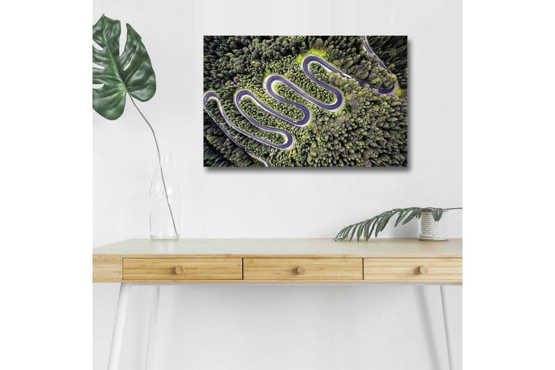 Lerretsbilde med LED-belysning - Vakker utsikt over en svingete vei gjennom tett, frodig skog - Grønn / Grå / Svart - Interiør - Maleri & posters - Lerretsbilder