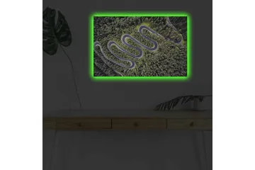 Lerretsbilde med LED-belysning - Vakker utsikt over en svingete vei gjennom tett, frodig skog - Grønn / Grå / Svart - Interiør - Maleri & posters - Lerretsbilder