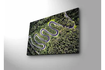 Lerretsbilde med LED-belysning - Vakker utsikt over en svingete vei gjennom tett, frodig skog - Grønn / Grå / Svart - Interiør - Maleri & posters - Lerretsbilder