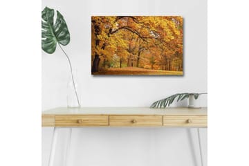 Lerretsbilde med LED-belysning - Vakkert høstlandskap med gylne og oransje løvtrær - Gull / Oransje / Brun - Interiør - Maleri & posters - Lerretsbilder