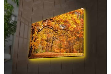 Lerretsbilde med LED-belysning - Vakkert høstlandskap med gylne og oransje løvtrær - Gull / Oransje / Brun - Interiør - Maleri & posters - Lerretsbilder