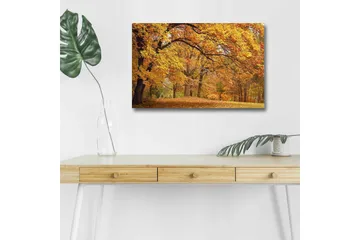 Lerretsbilde med LED-belysning - Vakkert høstlandskap med gylne og oransje løvtrær - Gull / Oransje / Brun - Interiør - Maleri & posters - Lerretsbilder