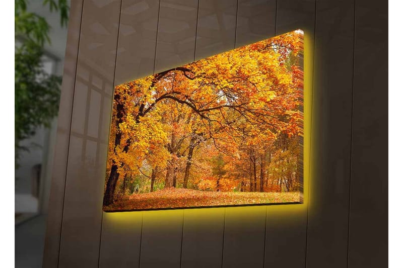Lerretsbilde med LED-belysning - Vakkert høstlandskap med gylne og oransje løvtrær - Gull / Oransje / Brun - Interiør - Maleri & posters - Lerretsbilder
