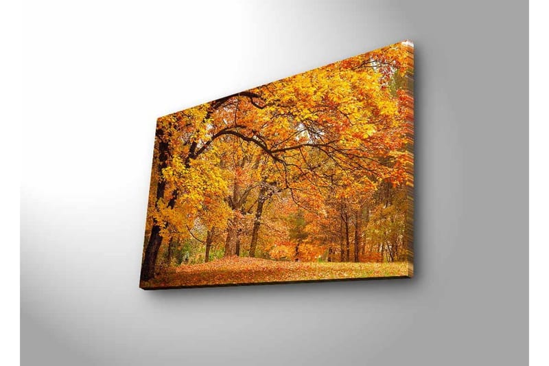 Lerretsbilde med LED-belysning - Vakkert høstlandskap med gylne og oransje løvtrær - Gull / Oransje / Brun - Interiør - Maleri & posters - Lerretsbilder