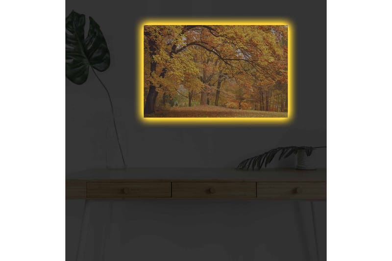 Lerretsbilde med LED-belysning - Vakkert høstlandskap med gylne og oransje løvtrær - Gull / Oransje / Brun - Interiør - Maleri & posters - Lerretsbilder