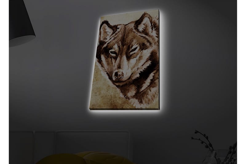 Lerretsbilde med LED-belysning - Portrett av en ulv med fokusert blikk, Brun / Beige