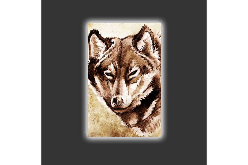 Lerretsbilde med LED-belysning - Portrett av en ulv med fokusert blikk - Brun / Beige - Interiør - Maleri & posters - Lerretsbilder