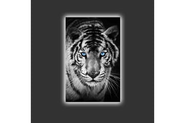 Lerretsbilde med LED-belysning - Portrett av en hvit tiger med blå øyne - Svart / Hvit / Blå - Interiør - Maleri & posters - Lerretsbilder