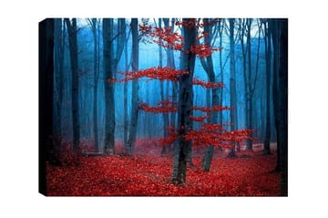 Lerretsbilde - Mystisk skog med røde trær i tåke - Rød / Blå / Grå - Interiør - Maleri & posters - Lerretsbilder