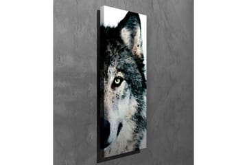 Lerretsbilde - Nærbilde av et ulveansikt med intense øyne - Grå / Svart / Hvit - Interiør - Maleri & posters - Lerretsbilder