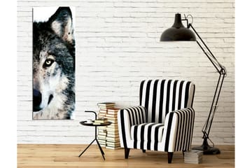 Lerretsbilde - Nærbilde av et ulveansikt med intense øyne - Grå / Svart / Hvit - Interiør - Maleri & posters - Lerretsbilder