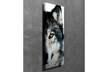 Lerretsbilde - Nærbilde av et ulveansikt med intense øyne - Grå / Svart / Hvit - Interiør - Maleri & posters - Lerretsbilder