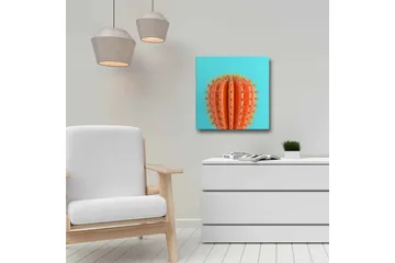 Lerretsbilde - Oransje kaktus med torner mot en turkis bakgrunn - Oransje / Turkis - Interiør - Maleri & posters - Lerretsbilder