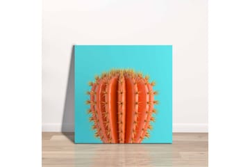 Lerretsbilde - Oransje kaktus med torner mot en turkis bakgrunn - Oransje / Turkis - Interiør - Maleri & posters - Lerretsbilder
