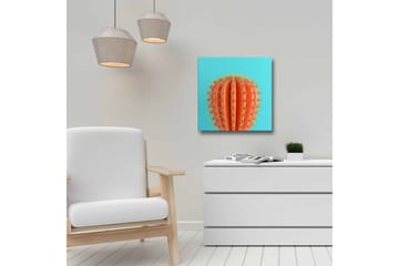 Lerretsbilde - Oransje kaktus med torner mot en turkis bakgrunn - Oransje / Turkis - Interiør - Maleri & posters - Lerretsbilder