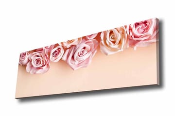 Lerretsbilde - Rosa roser i myke nyanser mot en lys bakgrunn - Lys rosa / Mørk rosa / Beige - Interiør - Maleri & posters - Lerretsbilder