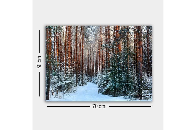 Lerretsbilde - Snødekt skog med høye, rette furutrær - Grønn / Brun / Hvit - Interiør - Maleri & posters - Lerretsbilder