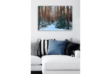 Lerretsbilde - Snødekt skog med høye, rette furutrær - Grønn / Brun / Hvit - Interiør - Maleri & posters - Lerretsbilder