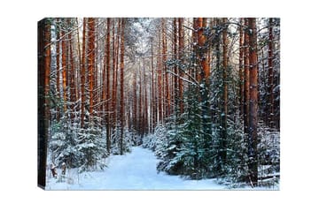 Lerretsbilde - Snødekt skog med høye, rette furutrær - Grønn / Brun / Hvit - Interiør - Maleri & posters - Lerretsbilder