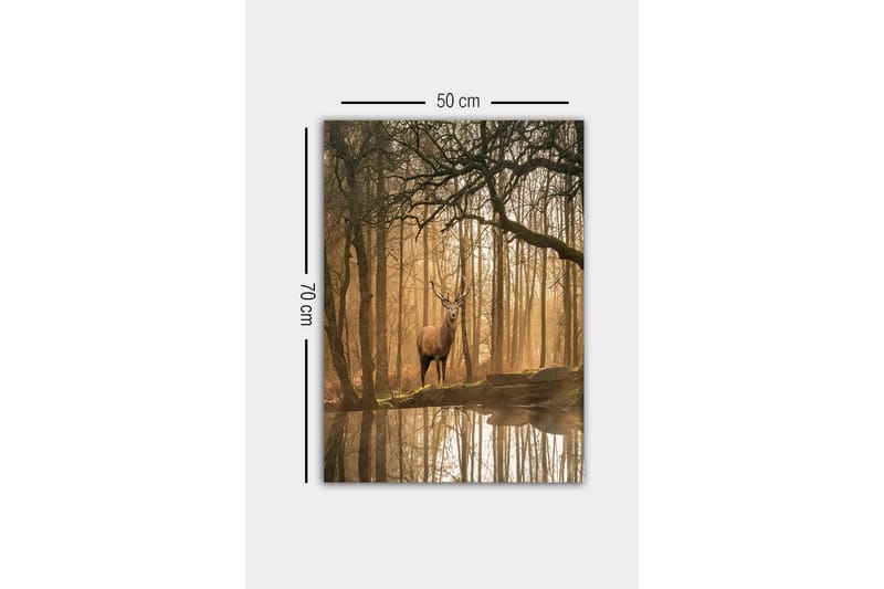 Lerretsbilde - Statlig elg i et tåkete skogsmiljø - Brun / Gull / Grønn - Interiør - Maleri & posters - Lerretsbilder