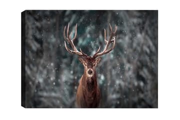 Lerretsbilde - Statlig elg med imponerende gevir i et snødekt skogsmiljø - Brun / Grå / Hvit - Interiør - Maleri & posters - Lerretsbilder