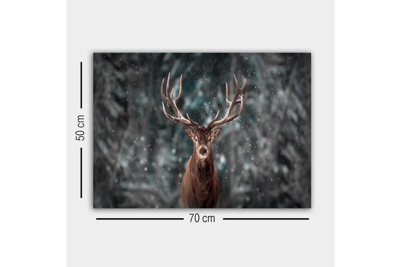 Lerretsbilde - Statlig elg med imponerende gevir i et snødekt skogsmiljø - Brun / Grå / Hvit - Interiør - Maleri & posters - Lerretsbilder