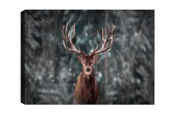Lerretsbilde - Statlig elg med imponerende gevir i et snødekt skogsmiljø - Brun / Grå / Hvit - Interiør - Maleri & posters - Lerretsbilder