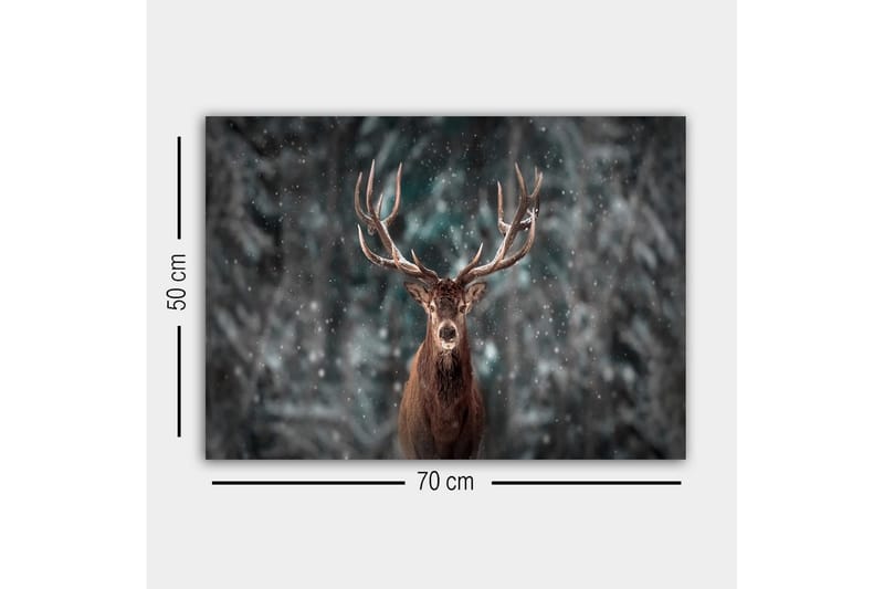 Lerretsbilde - Statlig elg med imponerende gevir i et snødekt skogsmiljø - Brun / Grå / Hvit - Interiør - Maleri & posters - Lerretsbilder