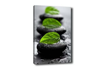 Lerretsbilde - Steinblokker med grønne blader og vanndråper - Svart / Grønn - Interiør - Maleri & posters - Lerretsbilder