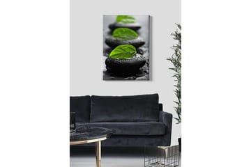 Lerretsbilde - Steinblokker med grønne blader og vanndråper - Svart / Grønn - Interiør - Maleri & posters - Lerretsbilder