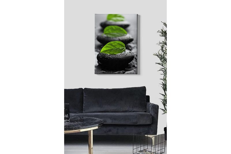 Lerretsbilde - Steinblokker med grønne blader og vanndråper - Svart / Grønn - Interiør - Maleri & posters - Lerretsbilder