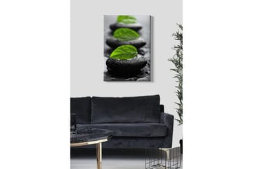 Lerretsbilde - Steinblokker med grønne blader og vanndråper - Svart / Grønn - Interiør - Maleri & posters - Lerretsbilder