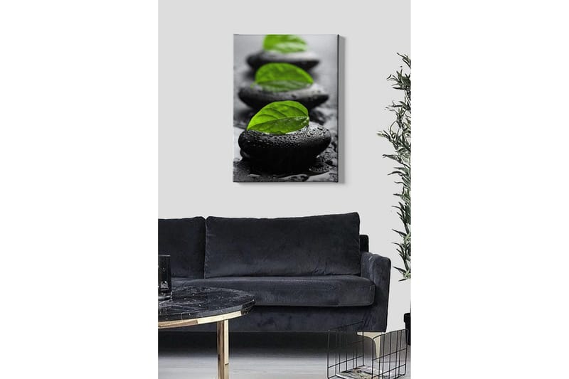 Lerretsbilde - Steinblokker med grønne blader og vanndråper - Svart / Grønn - Interiør - Maleri & posters - Lerretsbilder