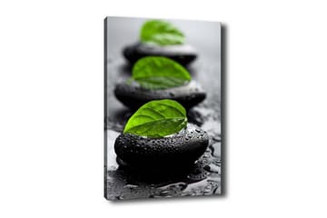 Lerretsbilde - Steinblokker med grønne blader og vanndråper - Svart / Grønn - Interiør - Maleri & posters - Lerretsbilder