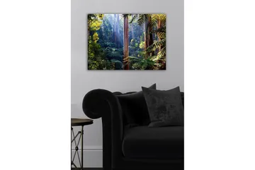 Lerretsbilde - Stille skog med høye eukalyptustrær og frodig vegetasjon - Grønn / Brun / Gul - Interiør - Maleri & posters - Lerretsbilder