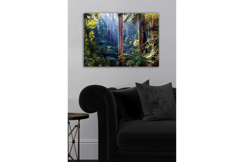 Lerretsbilde - Stille skog med høye eukalyptustrær og frodig vegetasjon - Grønn / Brun / Gul - Interiør - Maleri & posters - Lerretsbilder