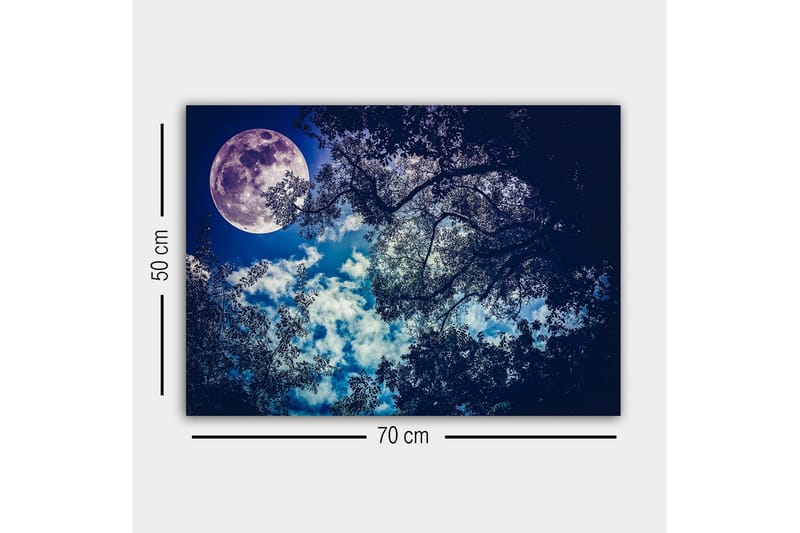 Lerretsbilde - Storslått måne som skinner over en nattehimmel med tretoppsilhuett - Mørk blå / Lys blå / Hvit - Interiør - Maleri & posters - Lerretsbilder