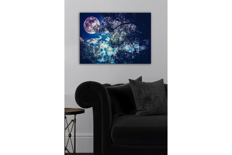 Lerretsbilde - Storslått måne som skinner over en nattehimmel med tretoppsilhuett - Mørk blå / Lys blå / Hvit - Interiør - Maleri & posters - Lerretsbilder