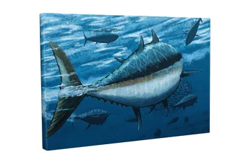 Lerretsbilde - Svømmende tunfisk i dypblått hav - Mørk blå / Lys blå / Hvit - Interiør - Maleri & posters - Lerretsbilder