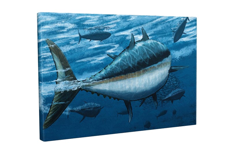 Lerretsbilde - Svømmende tunfisk i dypblått hav, Mørk blå / Lys blå / Hvit
