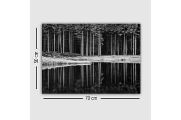 Lerretsbilde - Svart-hvitt skogsscene med refleksjon i vannet - Svart / Hvit / Grå - Interiør - Maleri & posters - Lerretsbilder