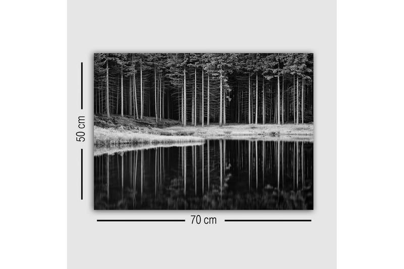 Lerretsbilde - Svart-hvitt skogsscene med refleksjon i vannet - Svart / Hvit / Grå - Interiør - Maleri & posters - Lerretsbilder