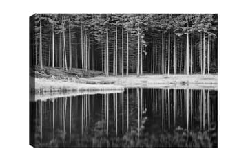 Lerretsbilde - Svart-hvitt skogsscene med refleksjon i vannet - Svart / Hvit / Grå - Interiør - Maleri & posters - Lerretsbilder