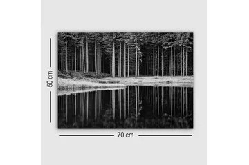 Lerretsbilde - Svart-hvitt skogsscene med refleksjon i vannet - Svart / Hvit / Grå - Interiør - Maleri & posters - Lerretsbilder