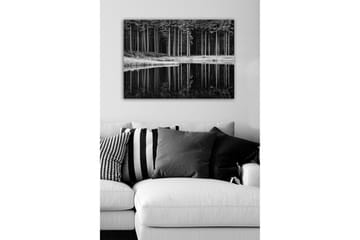 Lerretsbilde - Svart-hvitt skogsscene med refleksjon i vannet - Svart / Hvit / Grå - Interiør - Maleri & posters - Lerretsbilder