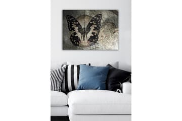 Lerretsbilde - Svart sommerfugl med mønster mot en diskré bakgrunn - Svart / Beige / Grå - Interiør - Maleri & posters - Lerretsbilder