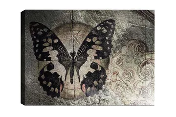 Lerretsbilde - Svart sommerfugl med mønster mot en diskré bakgrunn - Svart / Beige / Grå - Interiør - Maleri & posters - Lerretsbilder